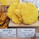 김미순농장 이미지