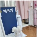 오늘도, 예쁘개 이미지