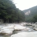 도락산장 이미지