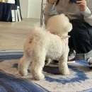 원트청주