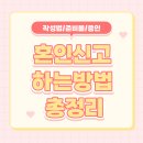 19 | 혼인신고 준비물부터 작성법까지 총정리 (광진구청 혼인신고 후기)