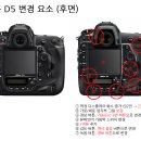 D5 이미지