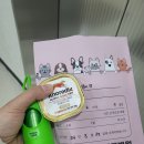 마음담은 동물병원 이미지