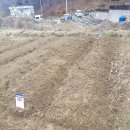 벼리농장 이미지