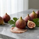 피그랜드 1단지 | 올리브영 스크럽 추천템 | 아임프롬 피그 스크럽 마스크 민감성 피부 내돈내산 후기