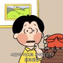 솔스튜디오 - 수원시 팔달구 권광로 169-1 | 솔스튜디오