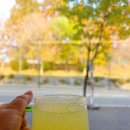 학하서로2 이미지