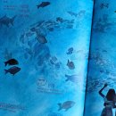 (유)트루바이오 이미지