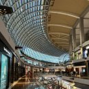 MBS(엠비에스) | [싱가포르] MBS에서 놓치면 후회! 로베르타스 피자 리얼 리뷰✨(Roberta's@MBS)