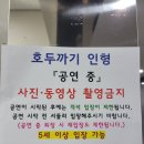 불가리아 바르나 국립발레 호두까기인형 | 바르나 국립발레단 호두까기인형 발레 공연 관람 후기
