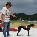 즐~거~운~나들이~! 전북~임실 오수의견 축제와더불어 오수레이싱파크! 이미지