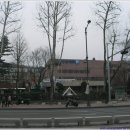 한국통신 옆 이미지