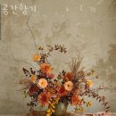 공간향기