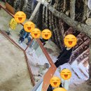 구립암사어린이집 이미지