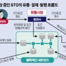 대지의 비상 이미지