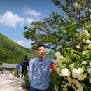 전문인 명품정비 이미지