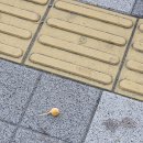 이엘메디컬 | 250922-250928 일상 모음