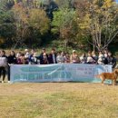 함께할 개 이미지