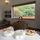 스테이느릿 이미지