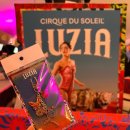 태양의 서커스 &#39;루치아(LUZIA)&#39; 관람 후기🎪 (서울 빅탑 203구역 시야)