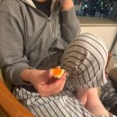 가현마을 신안(아) | 뒷북 후쿠오카 먹부림 여행기