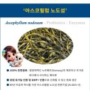 가더펫