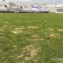 목동운동장(주경기장) 풋볼리스트