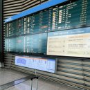 [2024 발리] 가루다 인도네시아 항공 발리행 직항 GA871 | 기내식, 특별식 후기, A330 좌석, 붕어싸만코