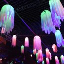 205-2-000001 이미지