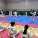 세심태권도 | 부산)성인태권도 공인단 심사 합격률 최고!!