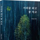 피고지고 이미지