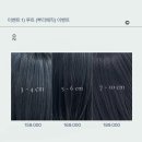 교대역 미용실 오즈 서초교대점 선욱디자이너 애쉬브라운 염색 후기 🤎