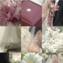 크리스탈스냅