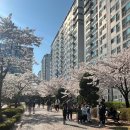 만랩커피 부여점 | 02. 작전명 청춘