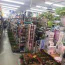 DC땡백화점 이미지