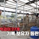 준서축산 - 통영시 안정1길 42 | 준서축산