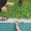 와와호프 - 남양주시 | 와와호프