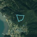 녹지부동산공인중개사사무소 이미지