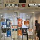 e-카마트 | 마쓰야마 여행 한국인 입장료 무료 관광지 추천 마쓰야마성 리프트 케이블카 1편