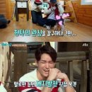 돼지두마리 이미지