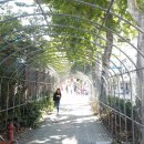 서울혜화초등학교 이미지