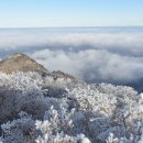 알프스비디오 이미지