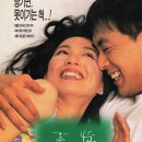 한정희피아노 이미지