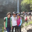 천지연 폭포 이미지