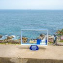 영덕신발 이미지