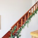 스테이솔 이미지