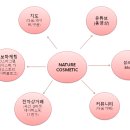[박지혜] NATURE COSMETIC 기업의 홈페이지 개발 계획서 이미지