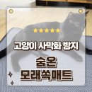 마루위의 고양이 | 숨온 고양이모래매트 사막화방지 냥이 화장실발판 모래쏙매트 사용후기