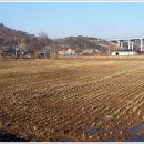 치즈마을 이미지