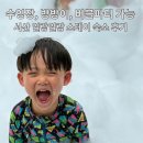 일랑일랑 스테이 | 서산 일랑일랑 스테이! (수영장·방방이·버블파티)